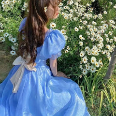 Fairy Cottage Princess Long Dress