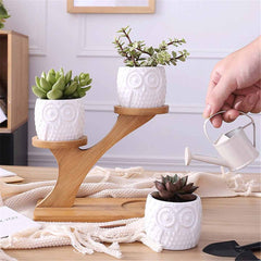 Owl Ceramic 3 tier Bamboo Set