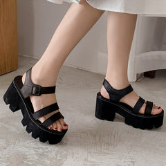 Summer Platform Wedge Sandals High Heel Sandals Open Toe