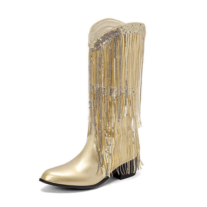 Fringe & Sequins Decor Point Toe Chunky Heeled Western Boots