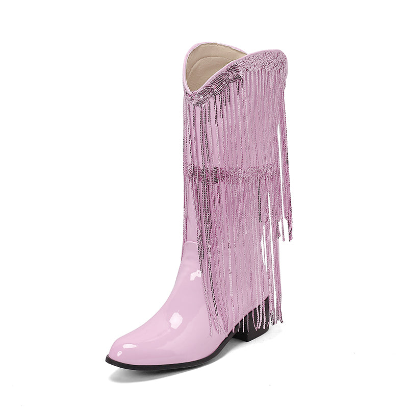 Fringe & Sequins Decor Point Toe Chunky Heeled Western Boots