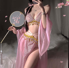 Sexy Belly Dancer Translucent Costume