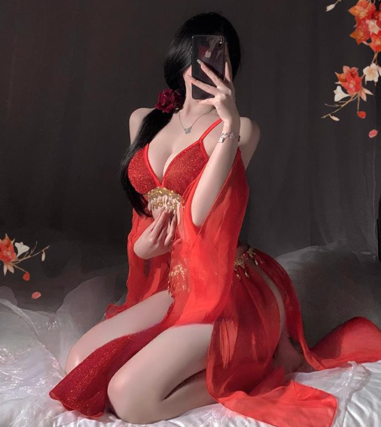 Sexy Belly Dancer Translucent Costume