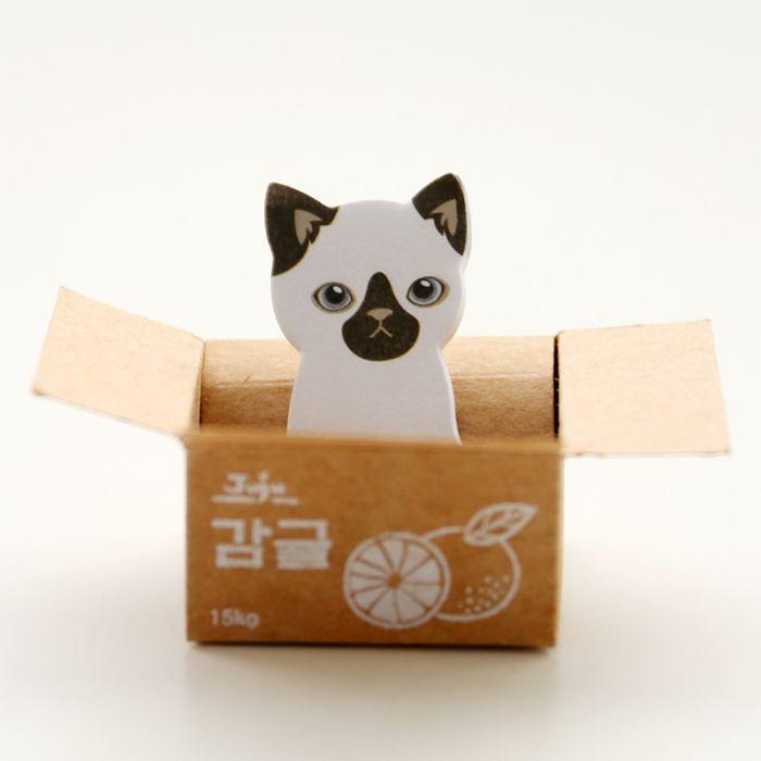 Cute Cat In A Box Sticky Notes