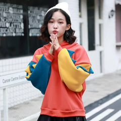 Cute Dinosaur Color-block Hoodie