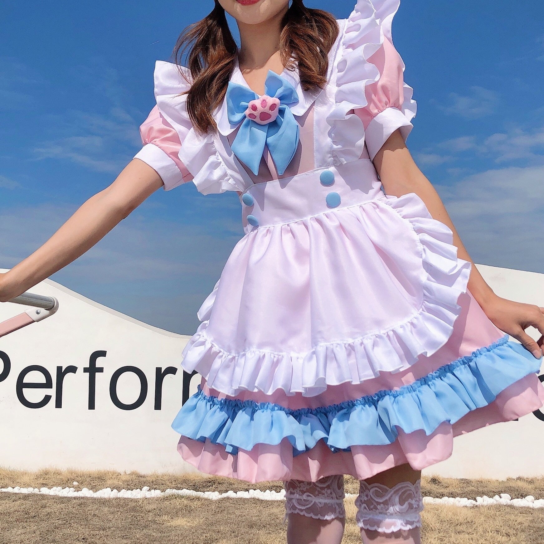 Anime Maid Outfit Cute Cat Lolita Dress