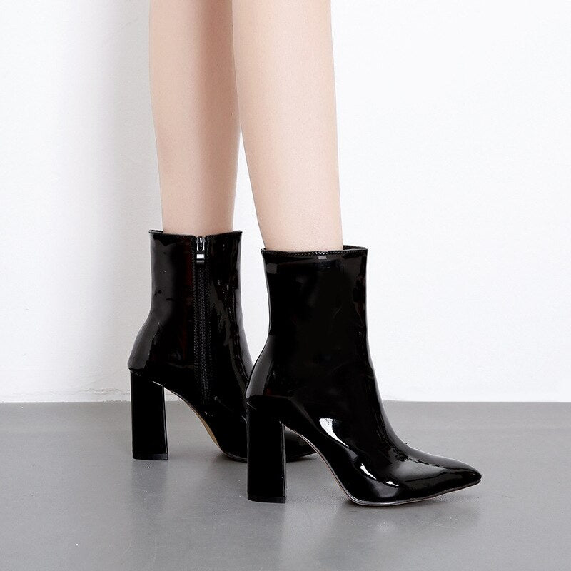 Pointed Thick Heel  Zipper Boots