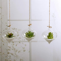 Glass Hanging Terrarium