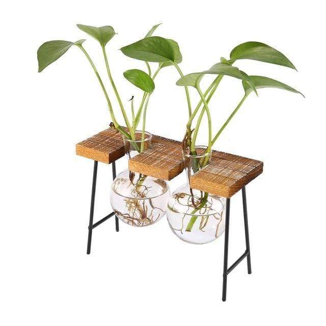 Vintage Water Propagation Station