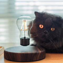 Floating Light Bulb Lamp