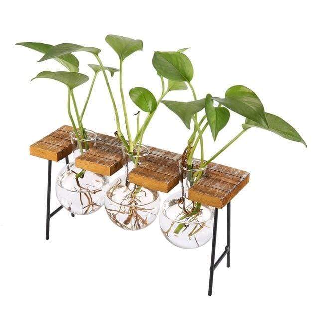 Vintage Water Propagation Station