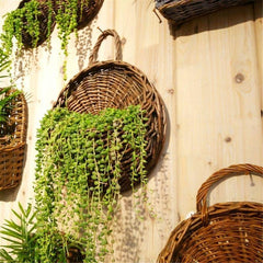 Wall Flower Basket
