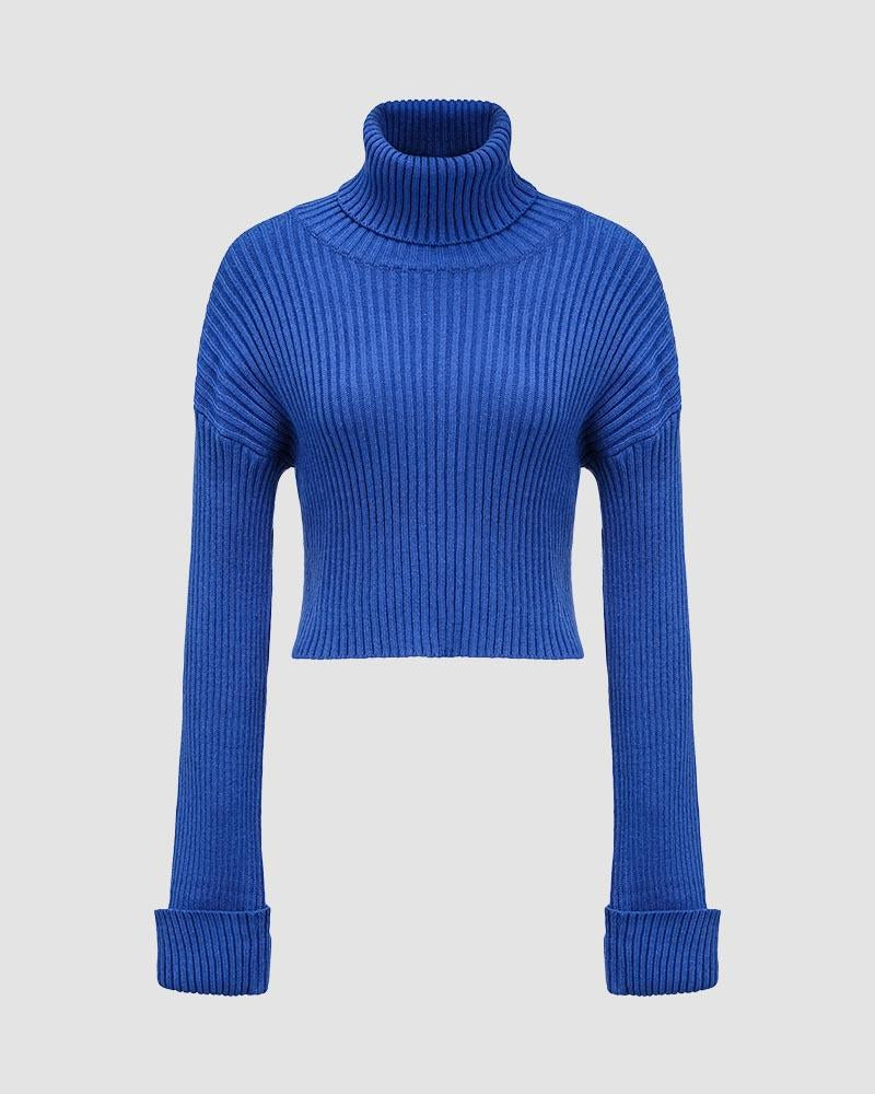 Glacius Cropped Turtleneck Jumper