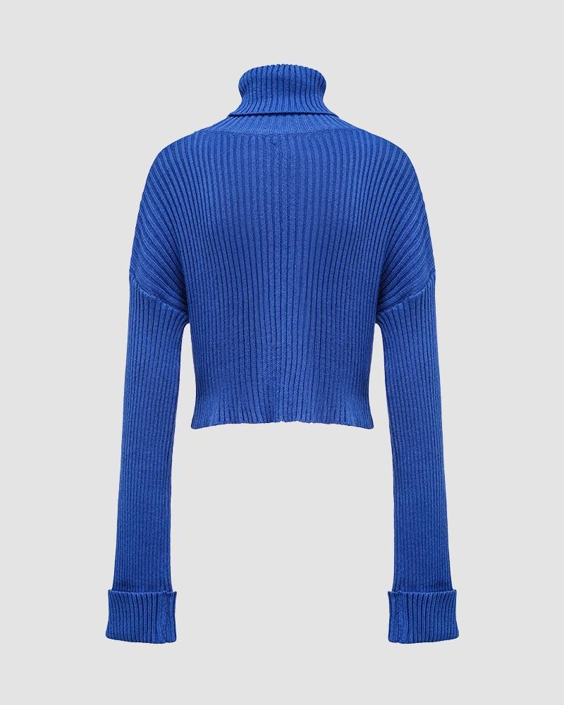 Glacius Cropped Turtleneck Jumper