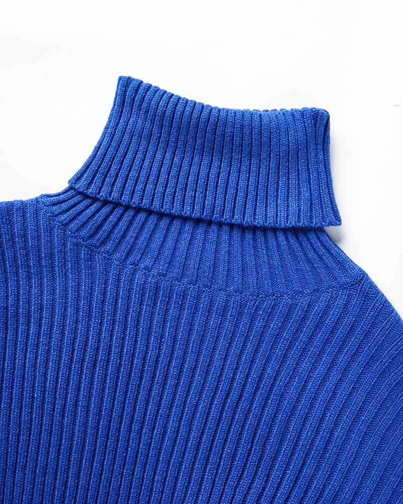 Glacius Cropped Turtleneck Jumper